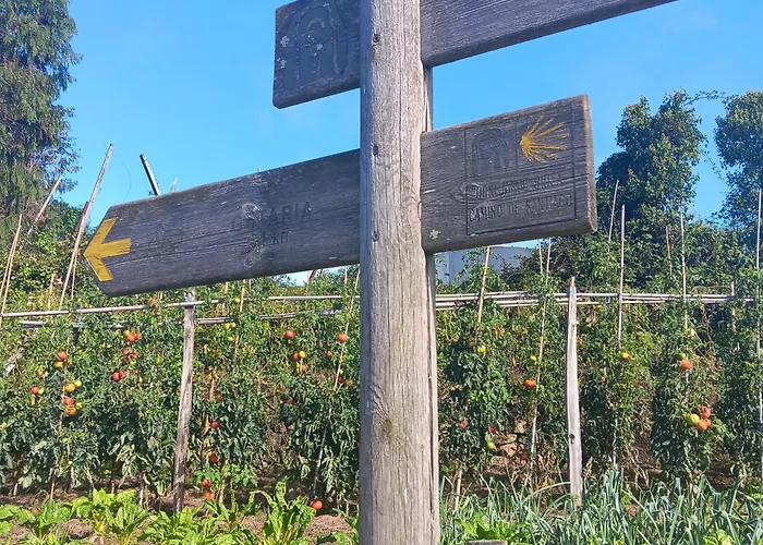 Hego Haize بيت شباب *